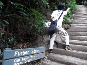 Furber steps